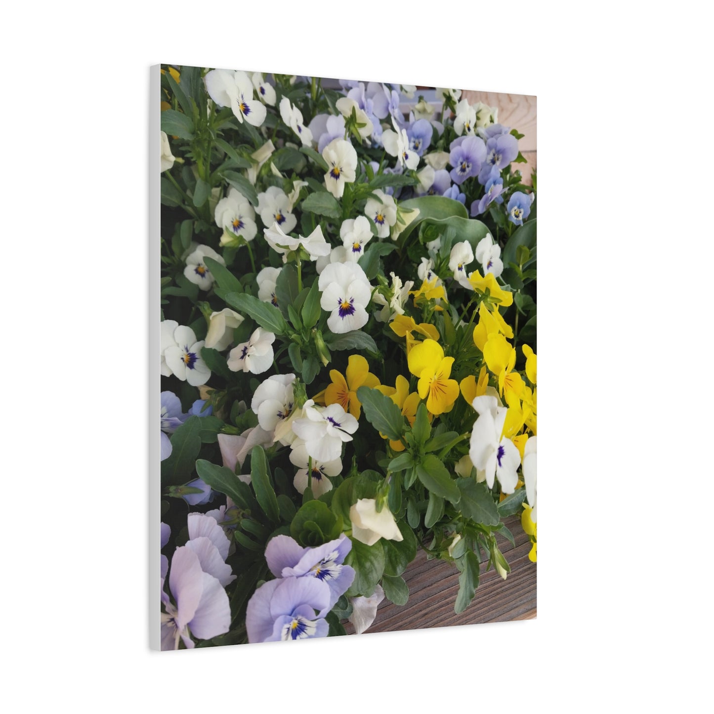 Pansies Floral Canvas Wall Art - Vibrant Pansy Design for Home Decor