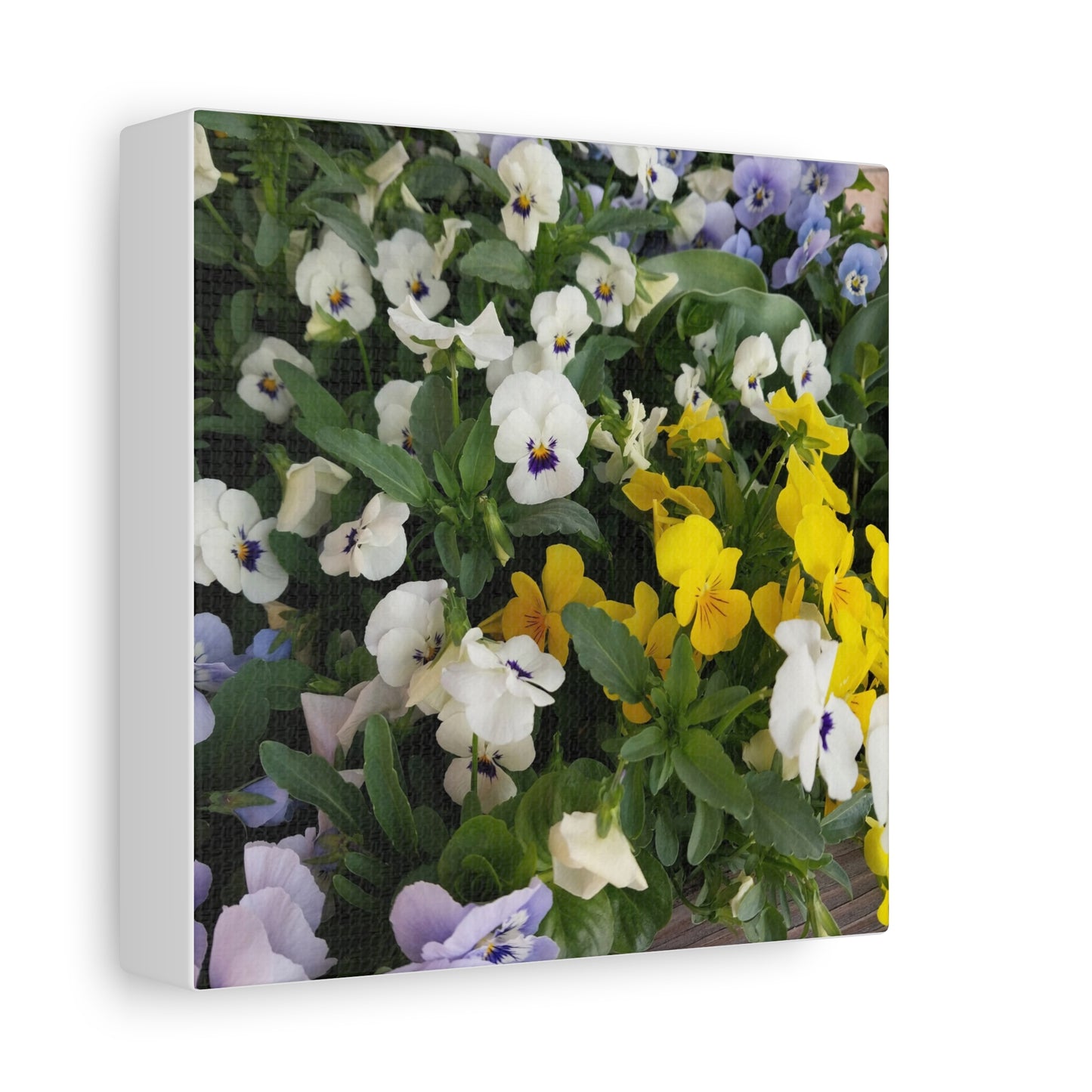 Pansies Floral Canvas Wall Art - Vibrant Pansy Design for Home Decor