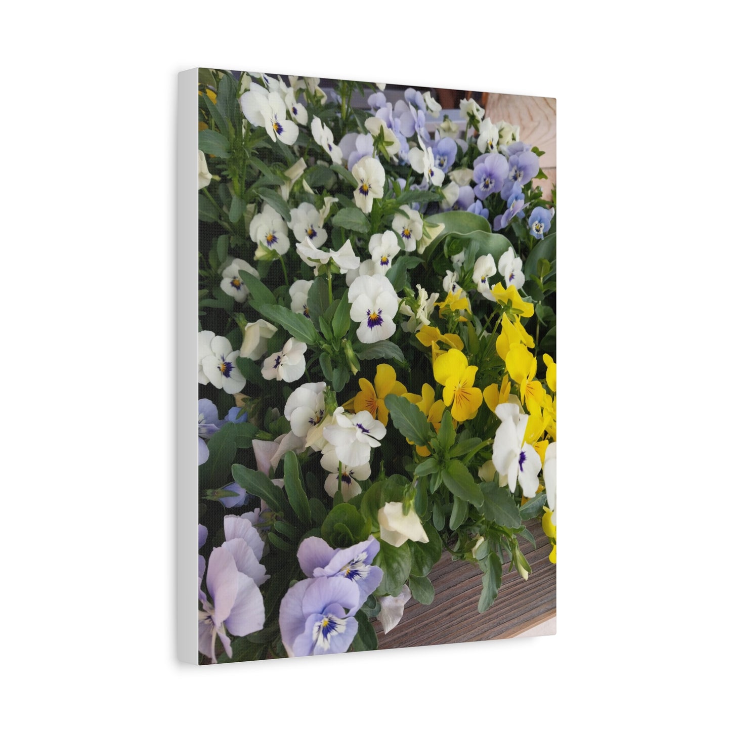 Pansies Floral Canvas Wall Art - Vibrant Pansy Design for Home Decor