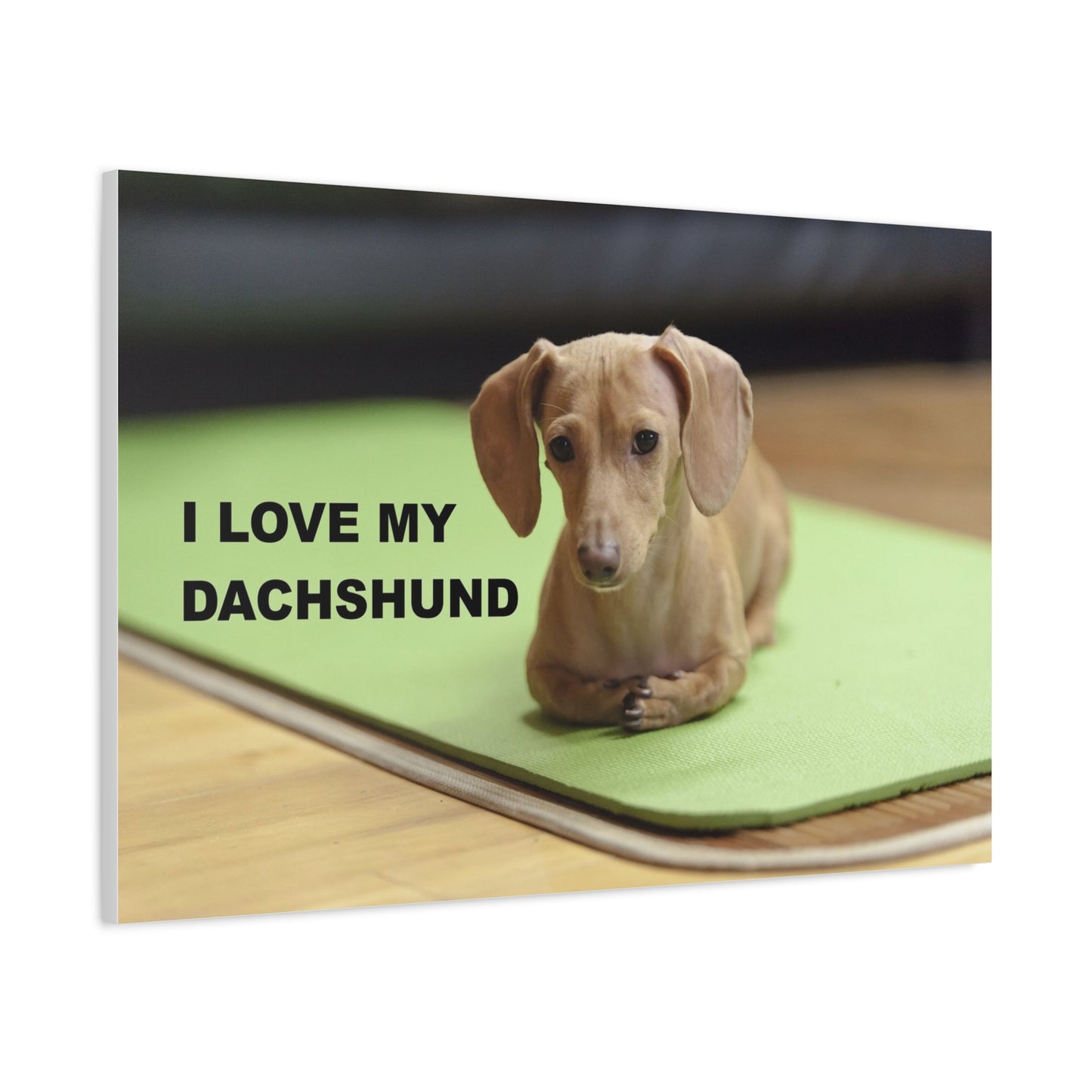 I Love My Dachshund Canvas Print, Pet Lover Wall Art, Dog Decor, Animal Wall Hanging, Home Decoration, Gift for Dachshund Owners