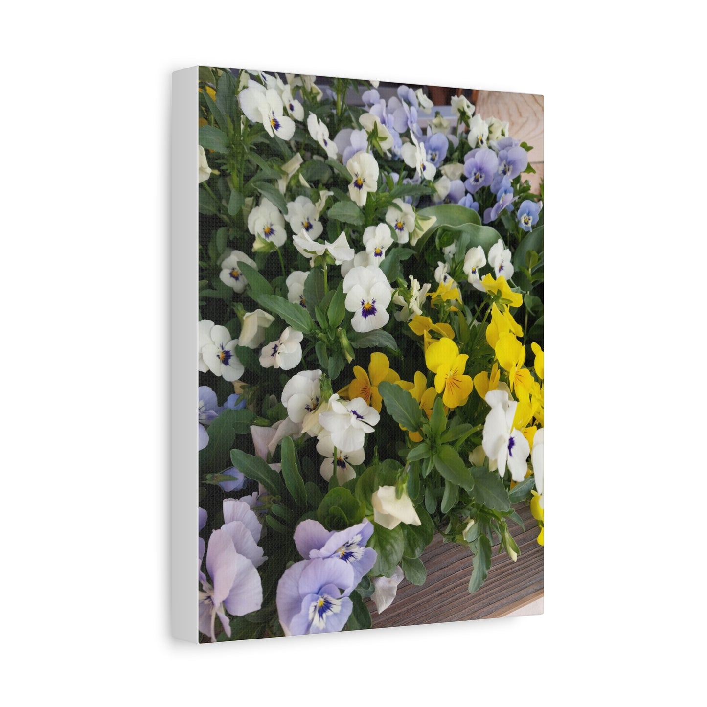 Pansies Floral Canvas Wall Art - Vibrant Pansy Design for Home Decor