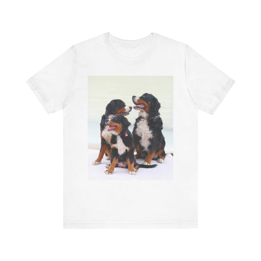 Bernese MOuntain Dog Group Cute Dog Lover Unisex Jersey Short Sleeve Tee, Pet Shirt, Dog Mom Gift, Animal Lover Tee, Casual Wear, Birthday Gift